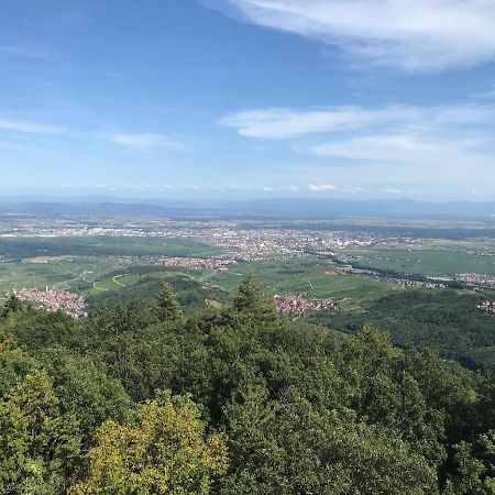 Le Belvedere - Gites Marck 蒂尔凯姆 外观 照片